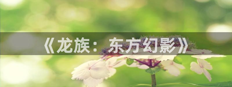 囧次元是哪个公司的：《龙族：东方幻影》