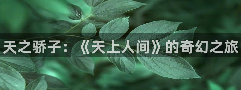 囧次元官方版：天之骄子：《天上人间》的奇幻之旅