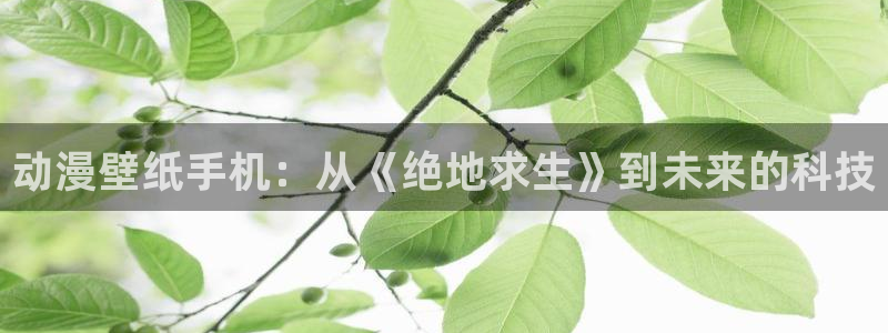 囧囧次元：动漫壁纸手机：从《绝地求生》到未来的科技