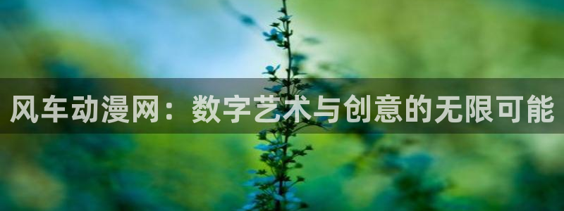 囧次元最新版下载：风车动漫网：数字艺术与创意的无限可能