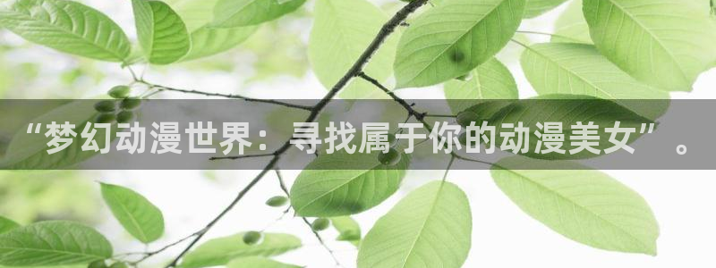 囧次元动漫：“梦幻动漫世界：寻找属于你的动漫美女”。