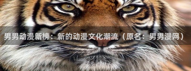 囧次元最新：男男动漫新榜：新的动漫文化潮流（原名：男男漫网）