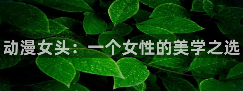 囧次元网站：动漫女头：一个女性的美学之选