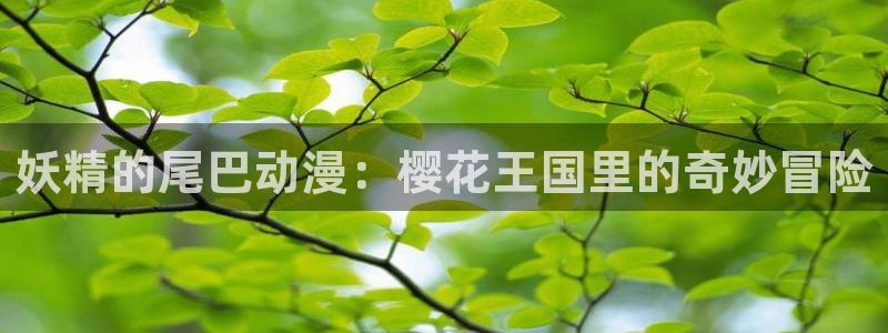 囧次元：妖精的尾巴动漫：樱花王国里的奇妙冒险