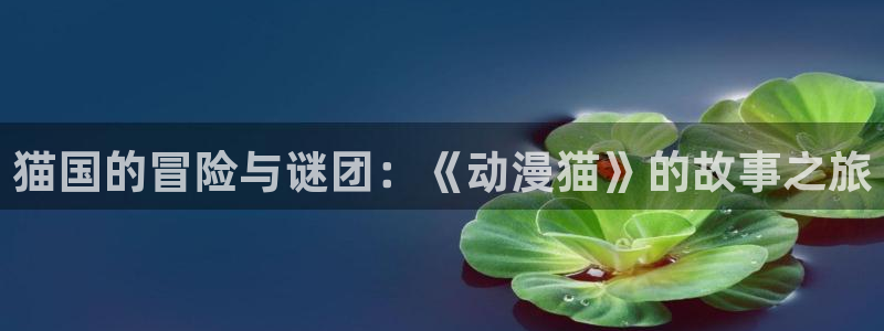囧次元怎么下载：猫国的冒险与谜团：《动漫猫》的故事之旅